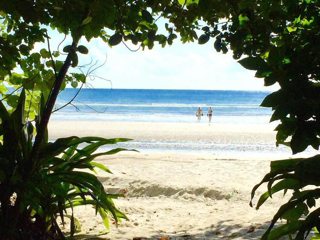 Cape Tribulation Holiday House Esterno foto