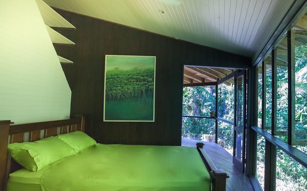 Cape Tribulation Holiday House Esterno foto