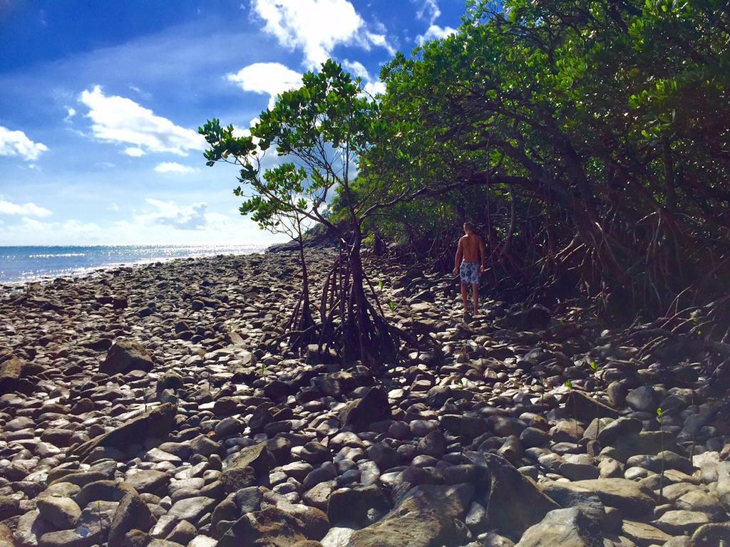 Cape Tribulation Holiday House Esterno foto