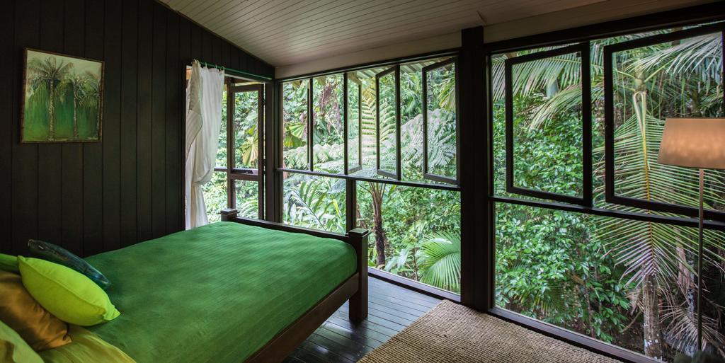 Cape Tribulation Holiday House Esterno foto