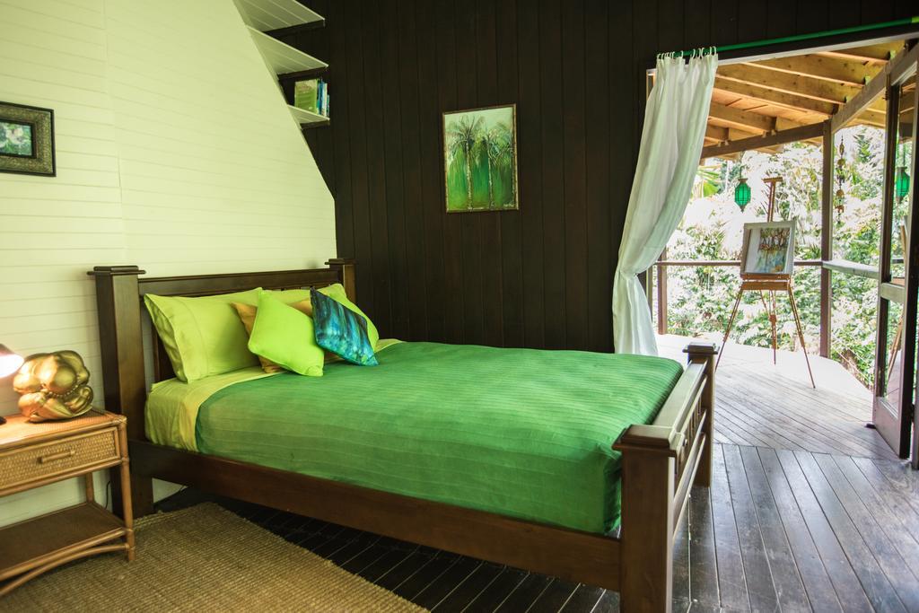 Cape Tribulation Holiday House Esterno foto