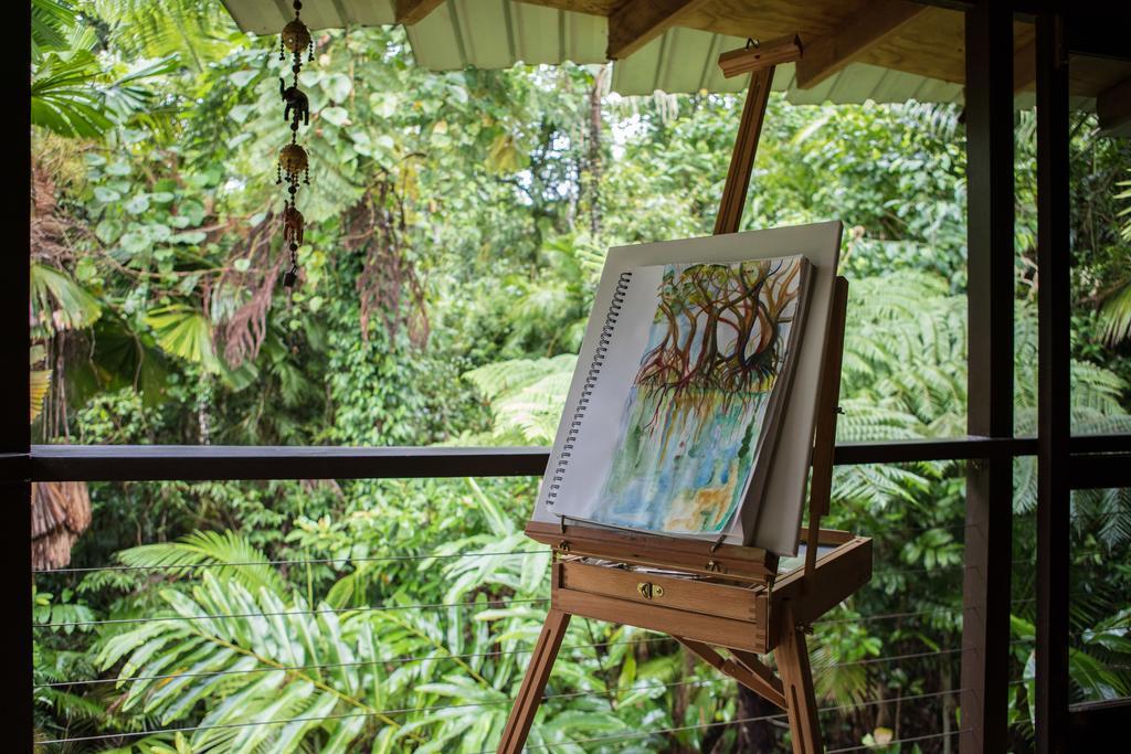 Cape Tribulation Holiday House Esterno foto